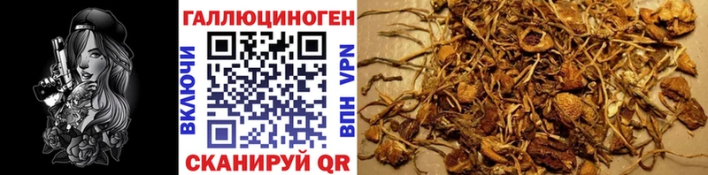Псилоцибиновые грибы мухоморы  гидра маркетплейс  Зубцов 